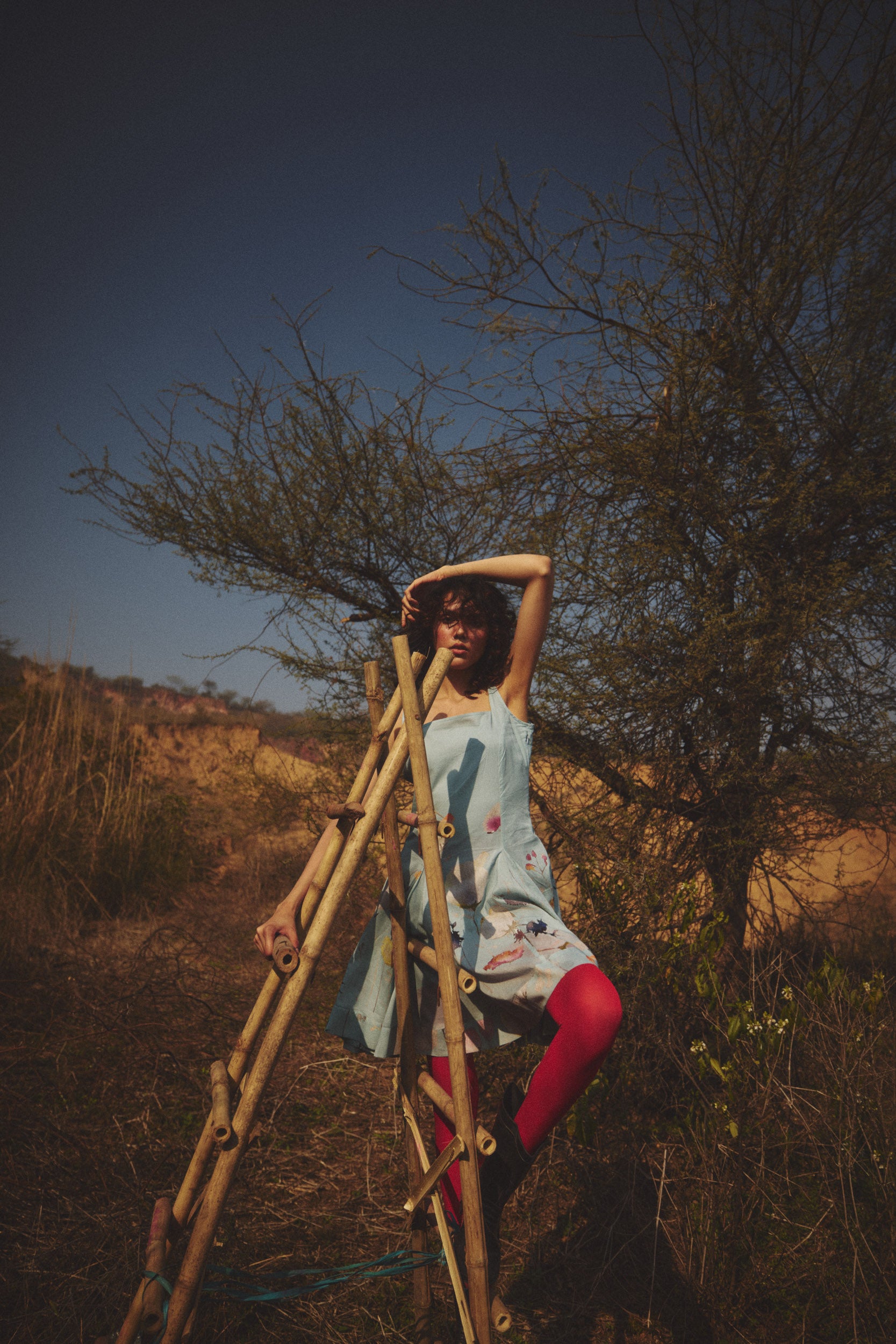 Wild and Free