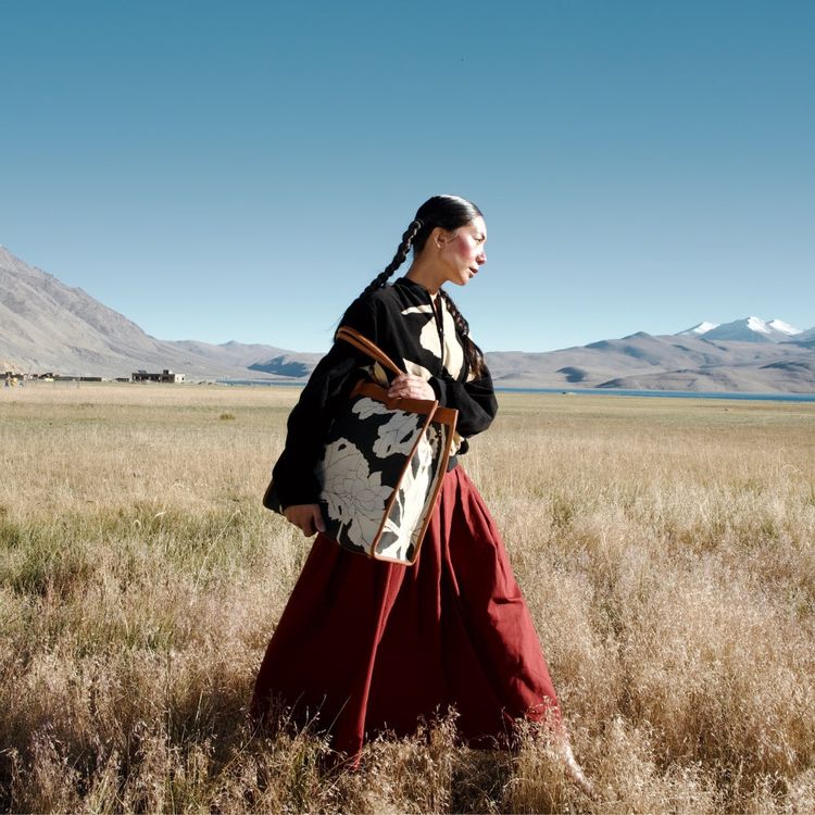 Ladakh landscape — resized 750x750 for homepage dual-image block